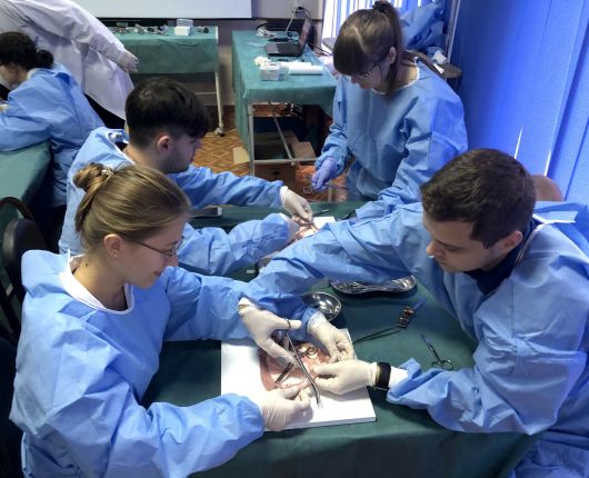 Basic Surgical Skills 2019